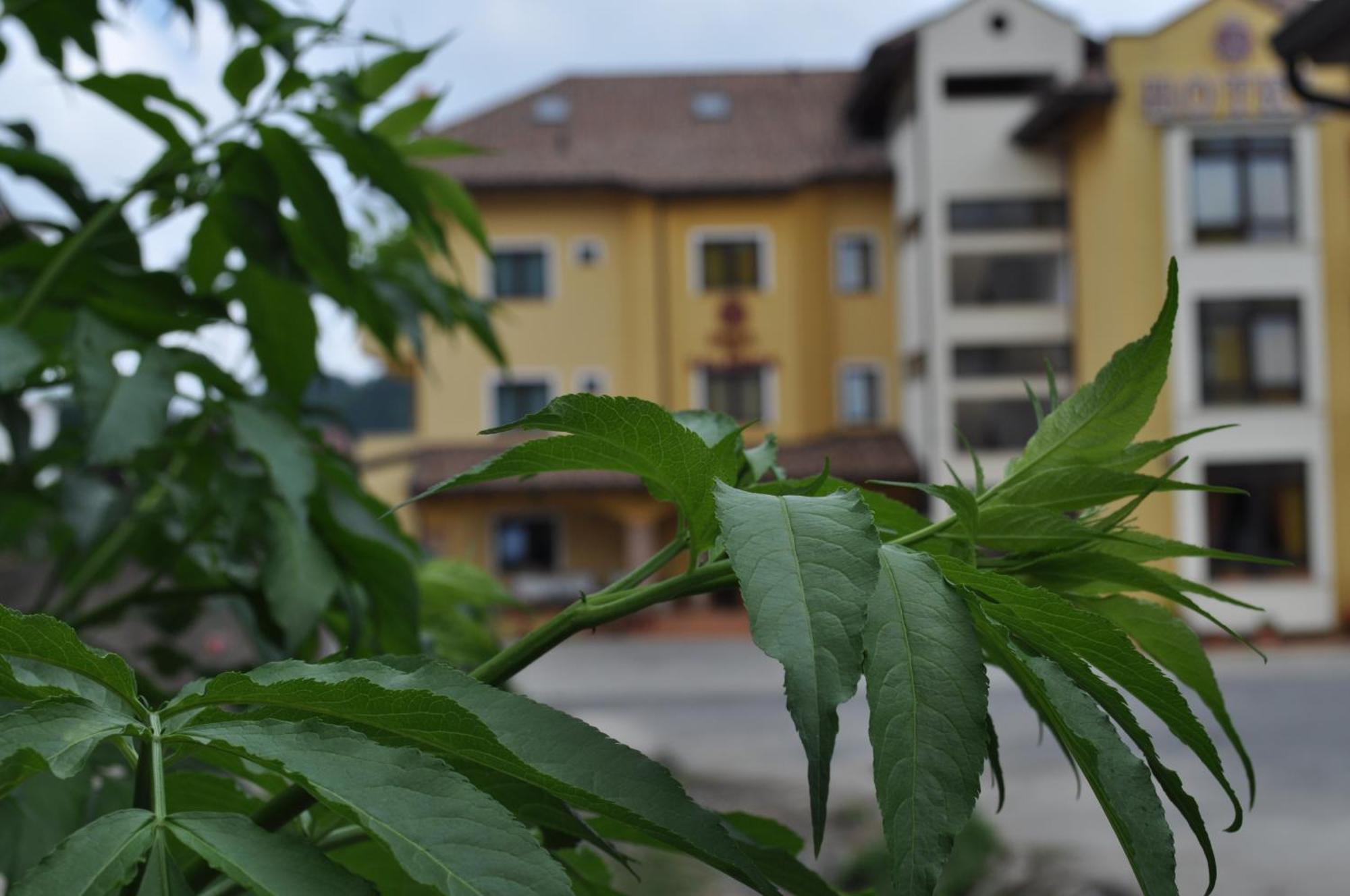 Hotel Duca Di Calabria Serra San Bruno Eksteriør bilde